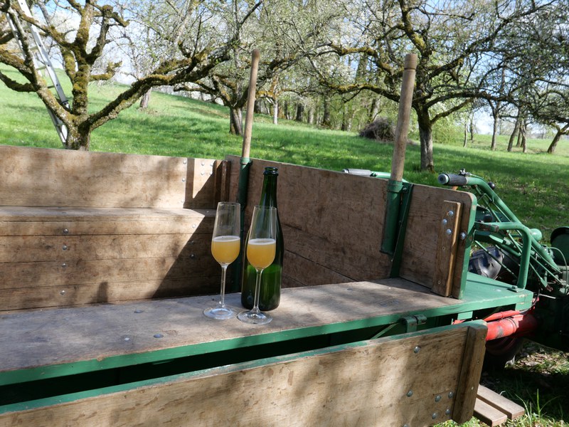 Apfelschaumwein